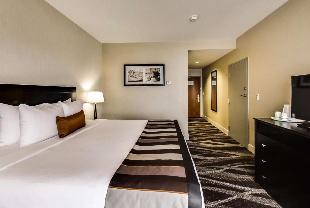 Radisson Hotel Edmonton Airport Leduc Extérieur photo